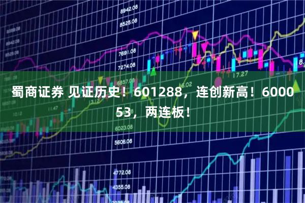 蜀商证券 见证历史!601288,连创新高!600053,两连板!