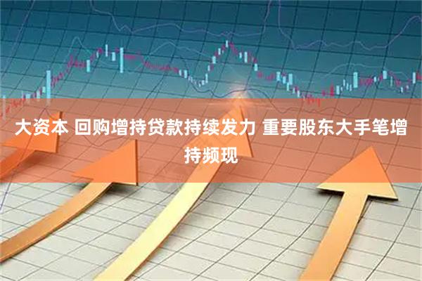 大资本 回购增持贷款持续发力 重要股东大手笔增持频现