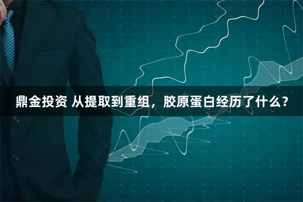 鼎金投资 从提取到重组，胶原蛋白经历了什么？