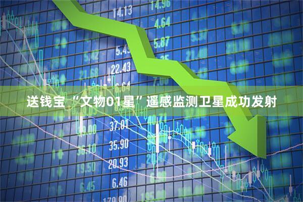 送钱宝 “文物01星”遥感监测卫星成功发射