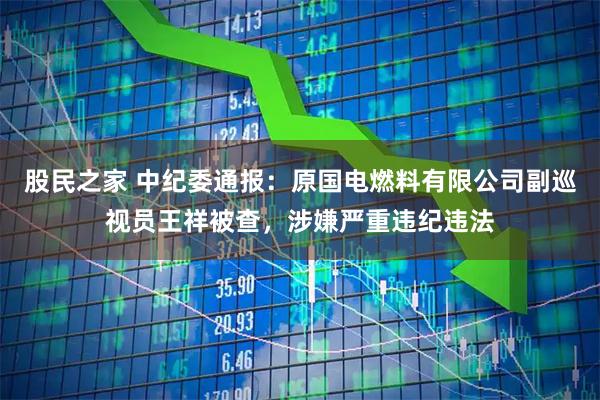股民之家 中纪委通报：原国电燃料有限公司副巡视员王祥被查，涉嫌严重违纪违法