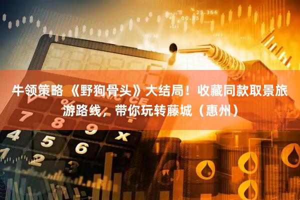 牛领策略 《野狗骨头》大结局！收藏同款取景旅游路线，带你玩转藤城（惠州）